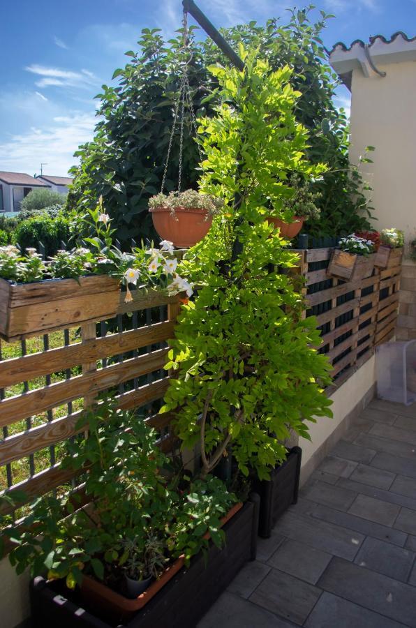 B&B Dai Carari Spinea Exterior photo